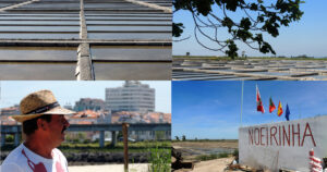 salinas parque merendas aveiro