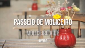 passeio barco aveiro zeca