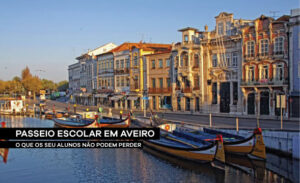 visita escolar aveiro