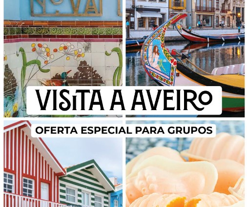 passeio barco aveiro visita grupo